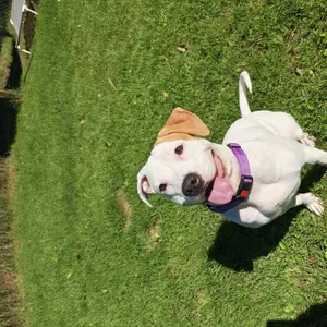 Rosie