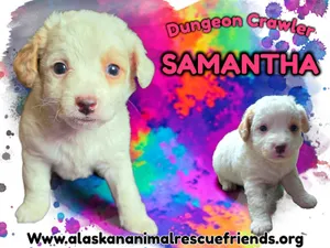 Dungeon Crawler - Samantha