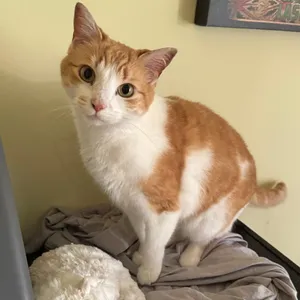 Winnie