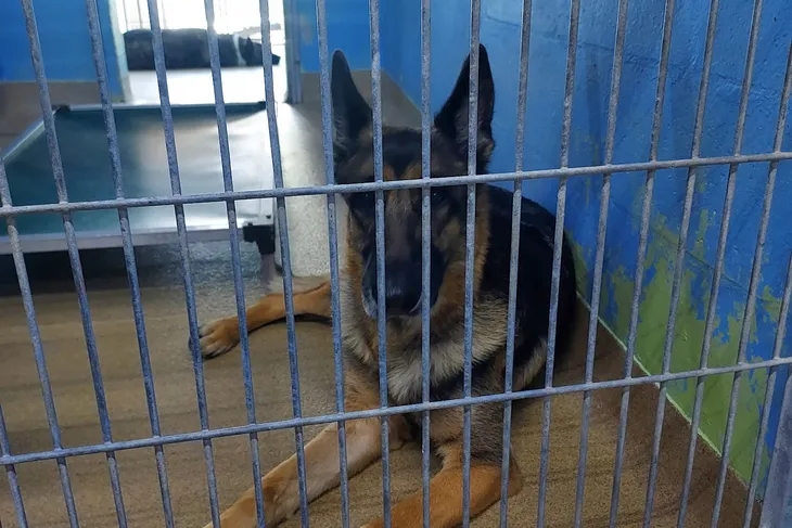 East Orange Animal Hospital