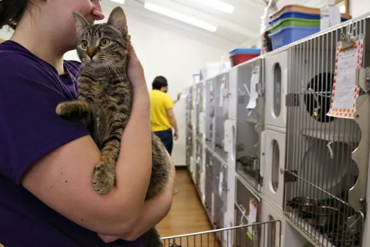 Knox County Humane Society
