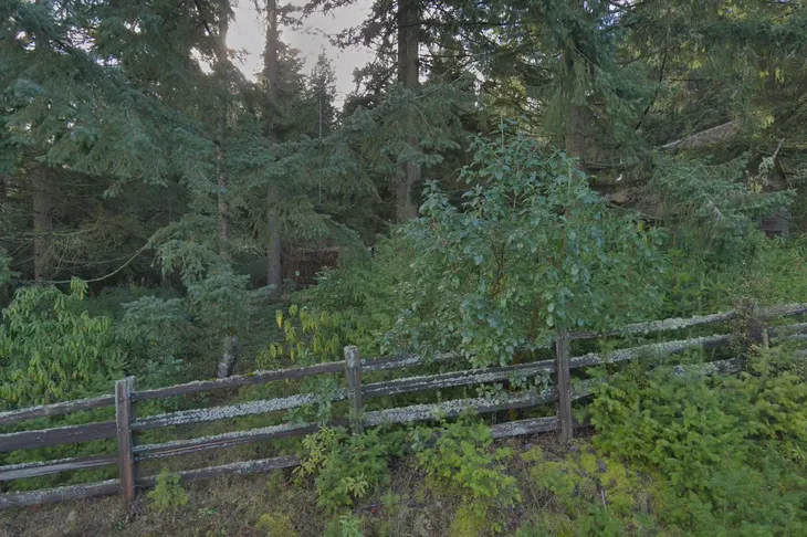 Bainbridge Animal Shelter