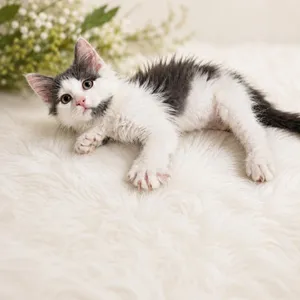 Cat Benetar