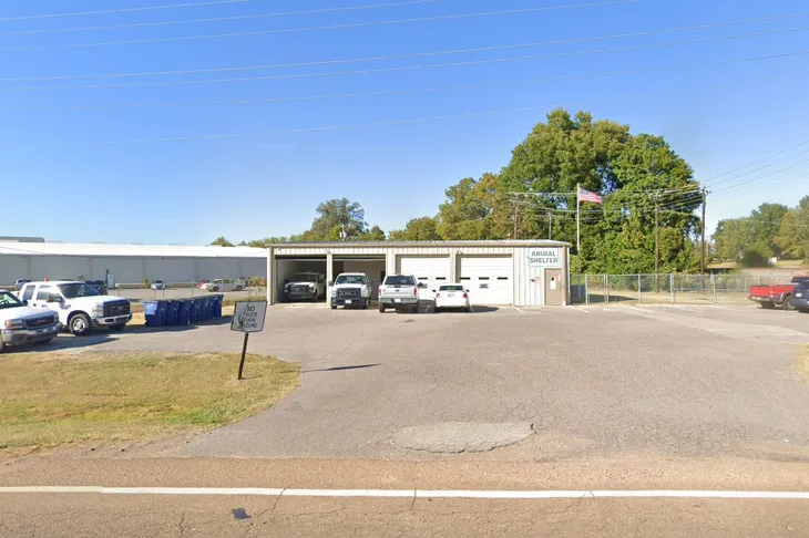 Olive Branch Animal Control