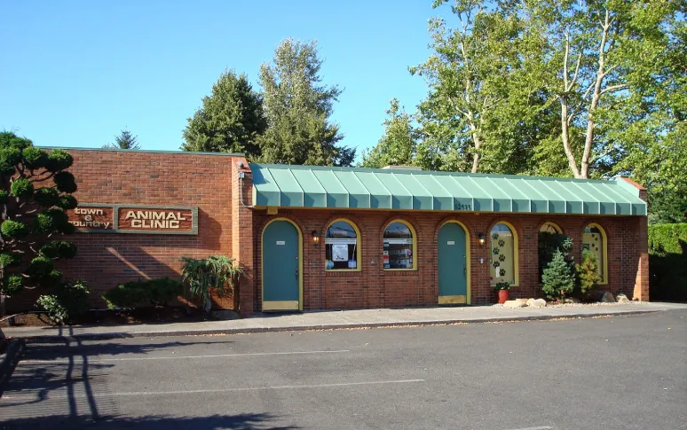 15 Best Vets In Portland