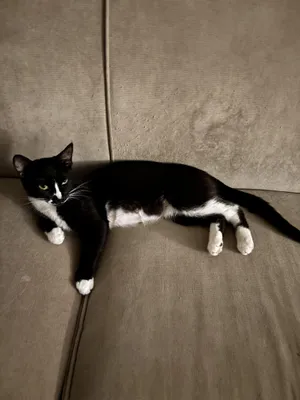 Sophie