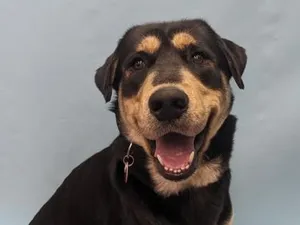 Zeus