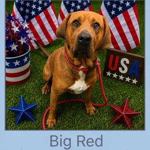 Big Red