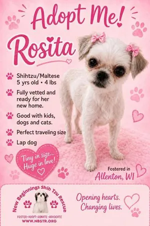 Rosita