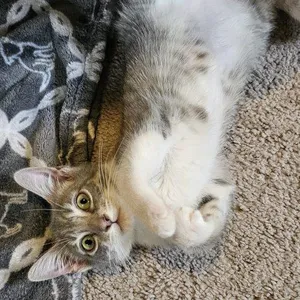 Chloe