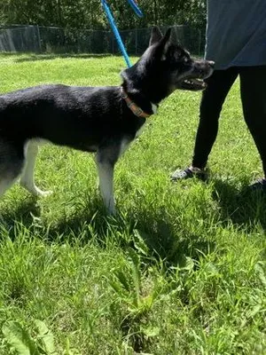 Zeus