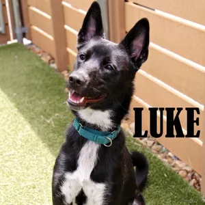 Luke