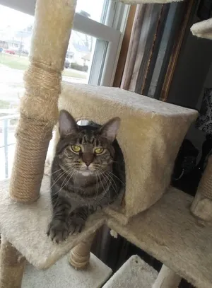 Sammy