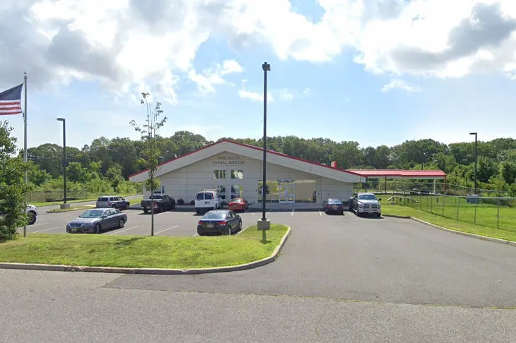 Toms River Animal Shelter