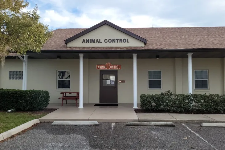 Lady Lake Town Control