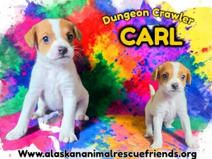 Dungeon Crawler Carl