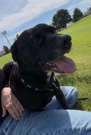 Bruce