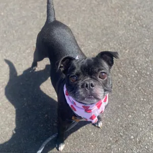 Darla