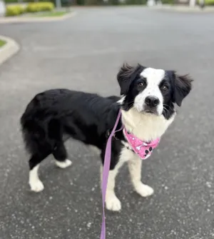 MIssy