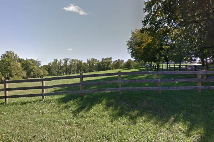New Vocations Race Horse Adoption Program