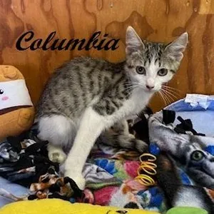 Columbia