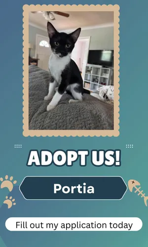 Portia