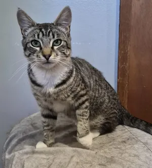 Max
