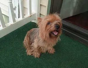 Max
