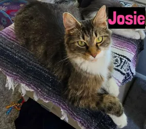 Josie