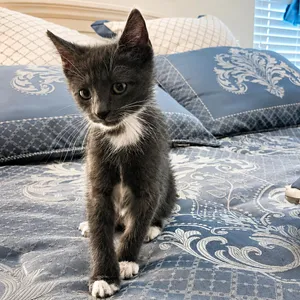 Ethel