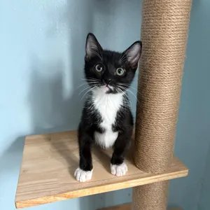 Slushy--In Foster