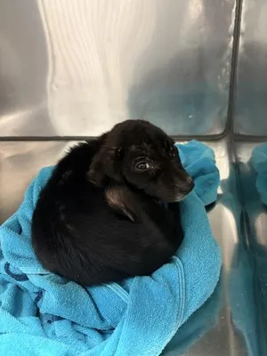 Edna