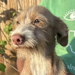 Zeus - Local July 10-12