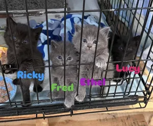 Fred & Ricky