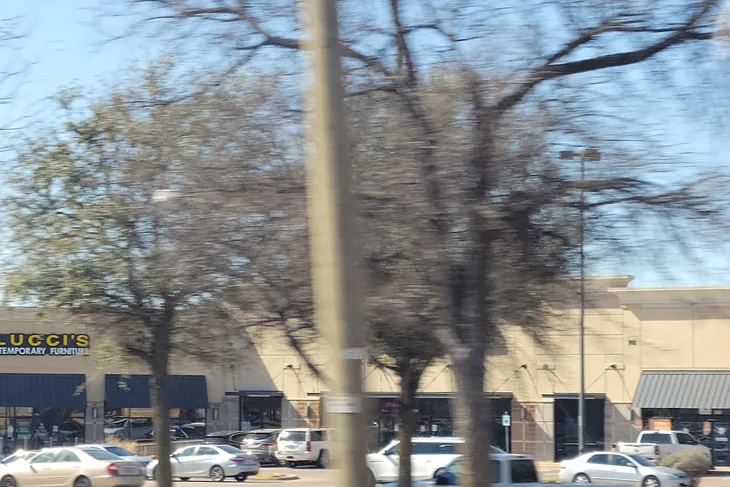 Cedar Hill Animal Control