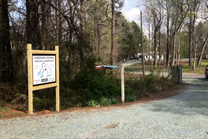 Carolina Animal Rescue & Adoption