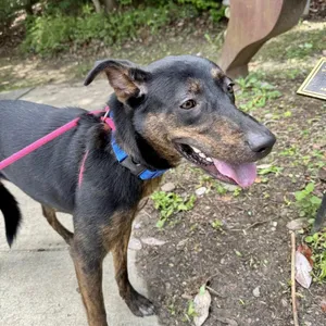 Hope