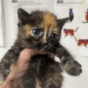 First Smile