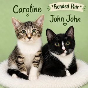 Caroline (FCID# 7/10/2026- 165)