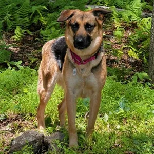 Ellie Mae (26-247)