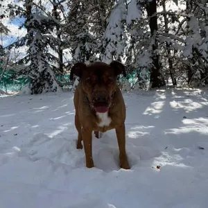 Mason
