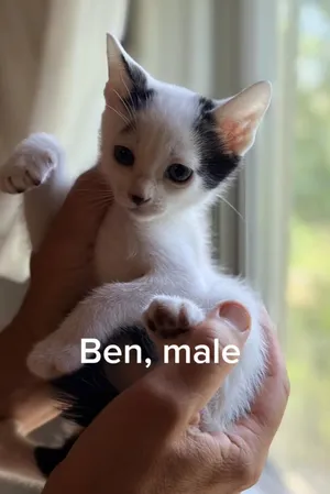 Ben