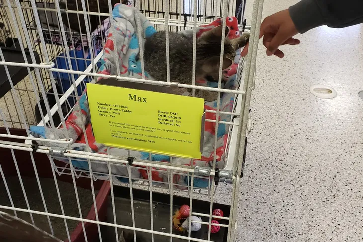 Crossroads Animal Shelter