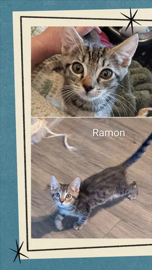 Ramon