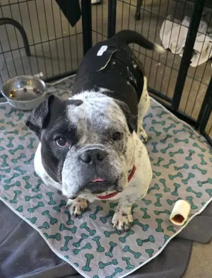 Parry