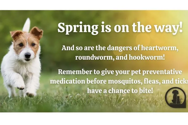 Humane Society of Henderson