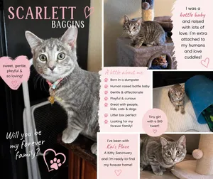 Scarlett Baggins