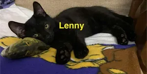 Lenny