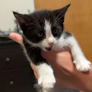 Moe **Off-Site Foster Home**