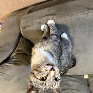 Samantha
